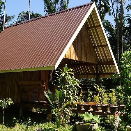 Khao Sok Jungle Resort Khao Sok National Park Rom bilde