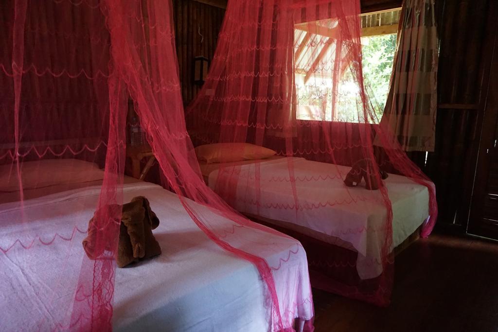 Khao Sok Jungle Resort Khao Sok National Park Rom bilde