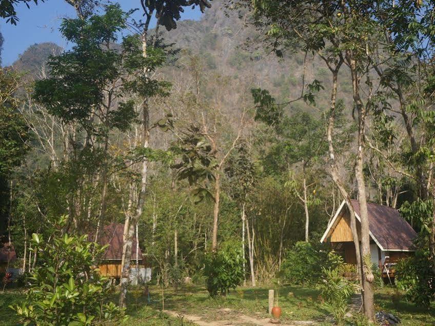 Khao Sok Jungle Resort Khao Sok National Park Eksteriør bilde