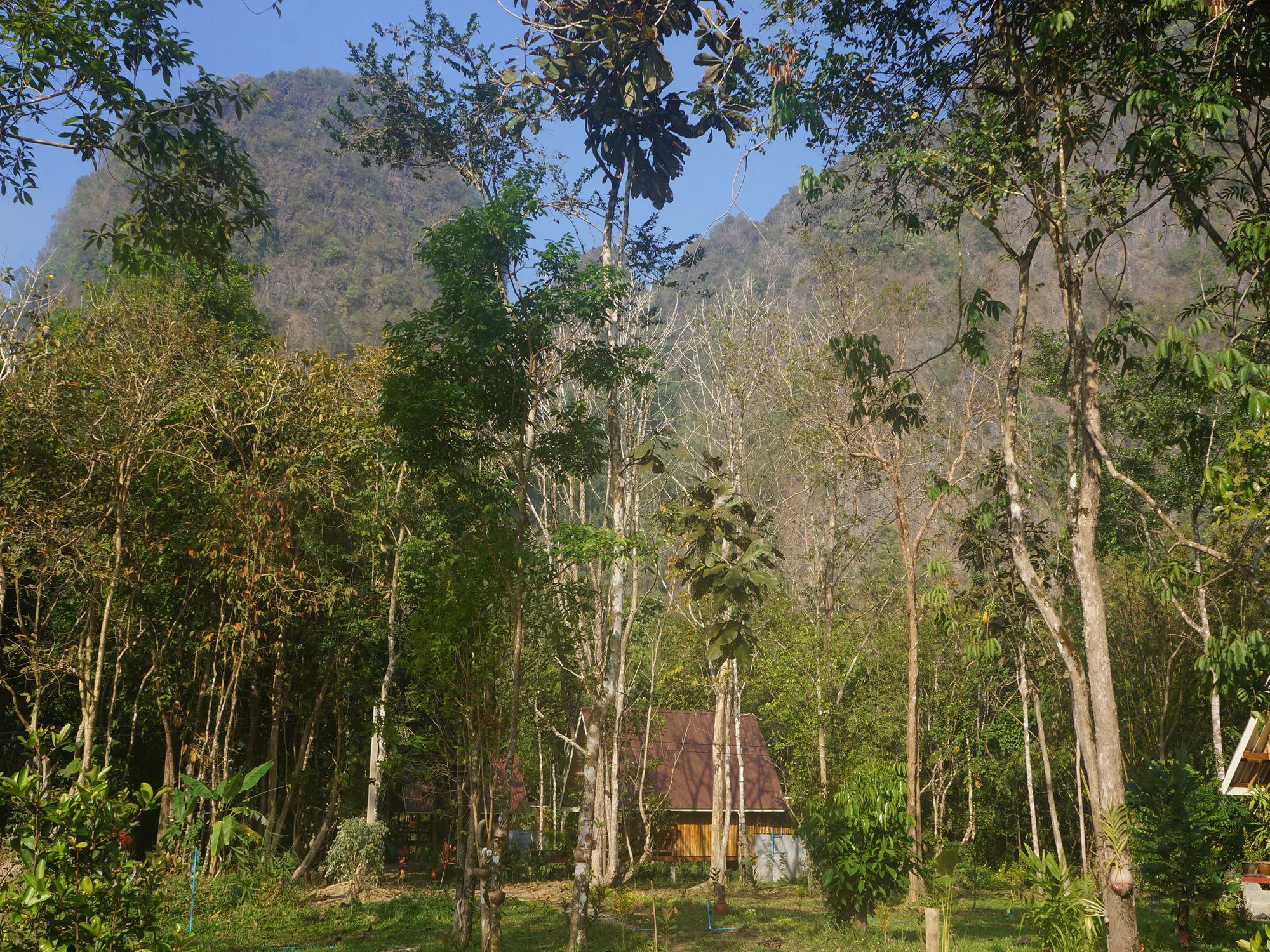 Khao Sok Jungle Resort Khao Sok National Park Eksteriør bilde