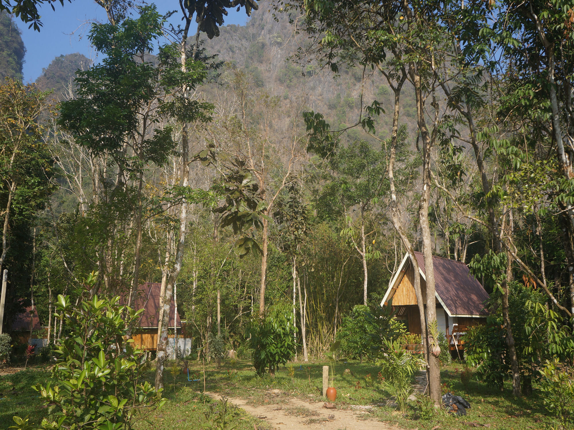 Khao Sok Jungle Resort Khao Sok National Park Eksteriør bilde