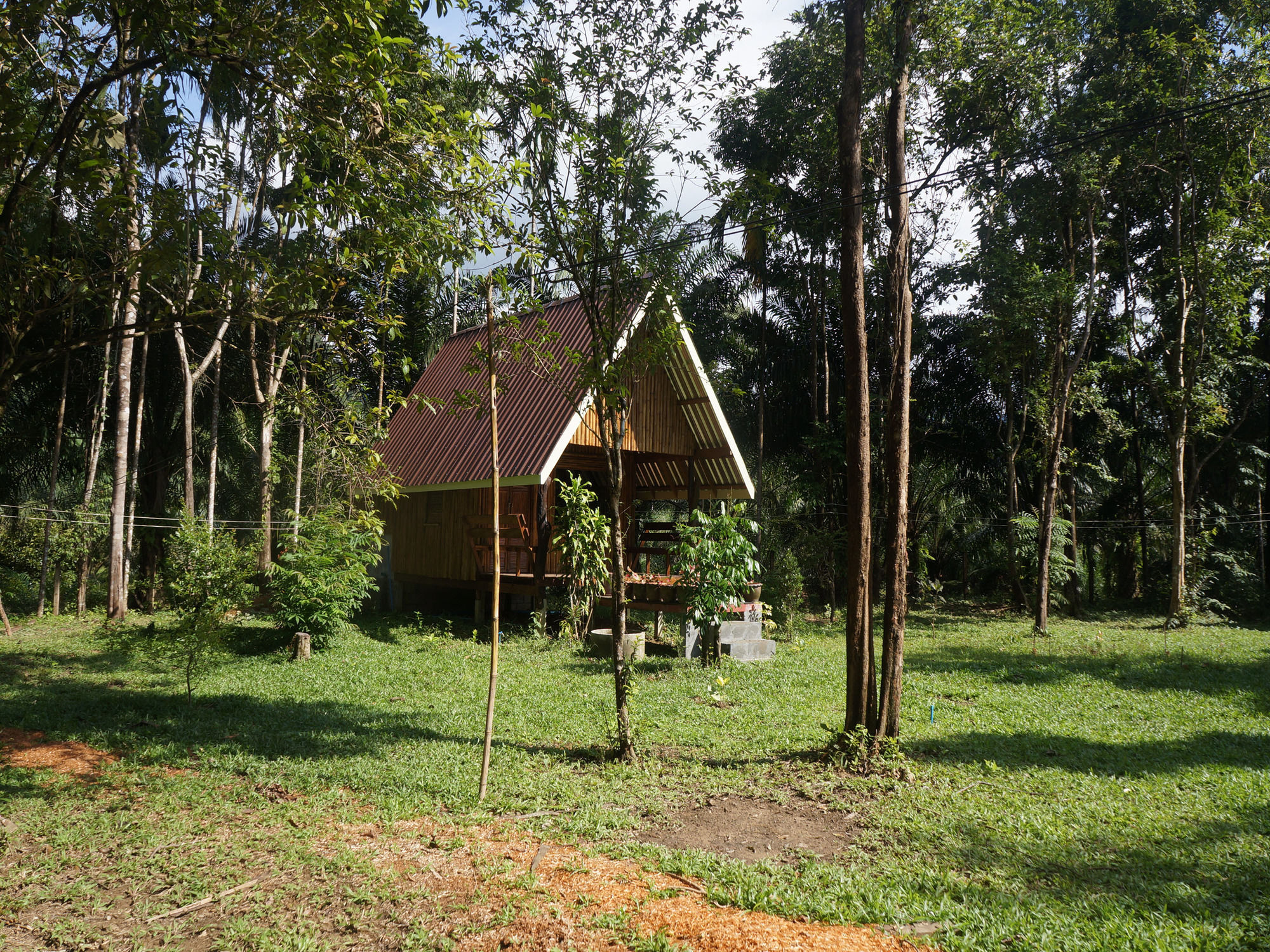 Khao Sok Jungle Resort Khao Sok National Park Eksteriør bilde