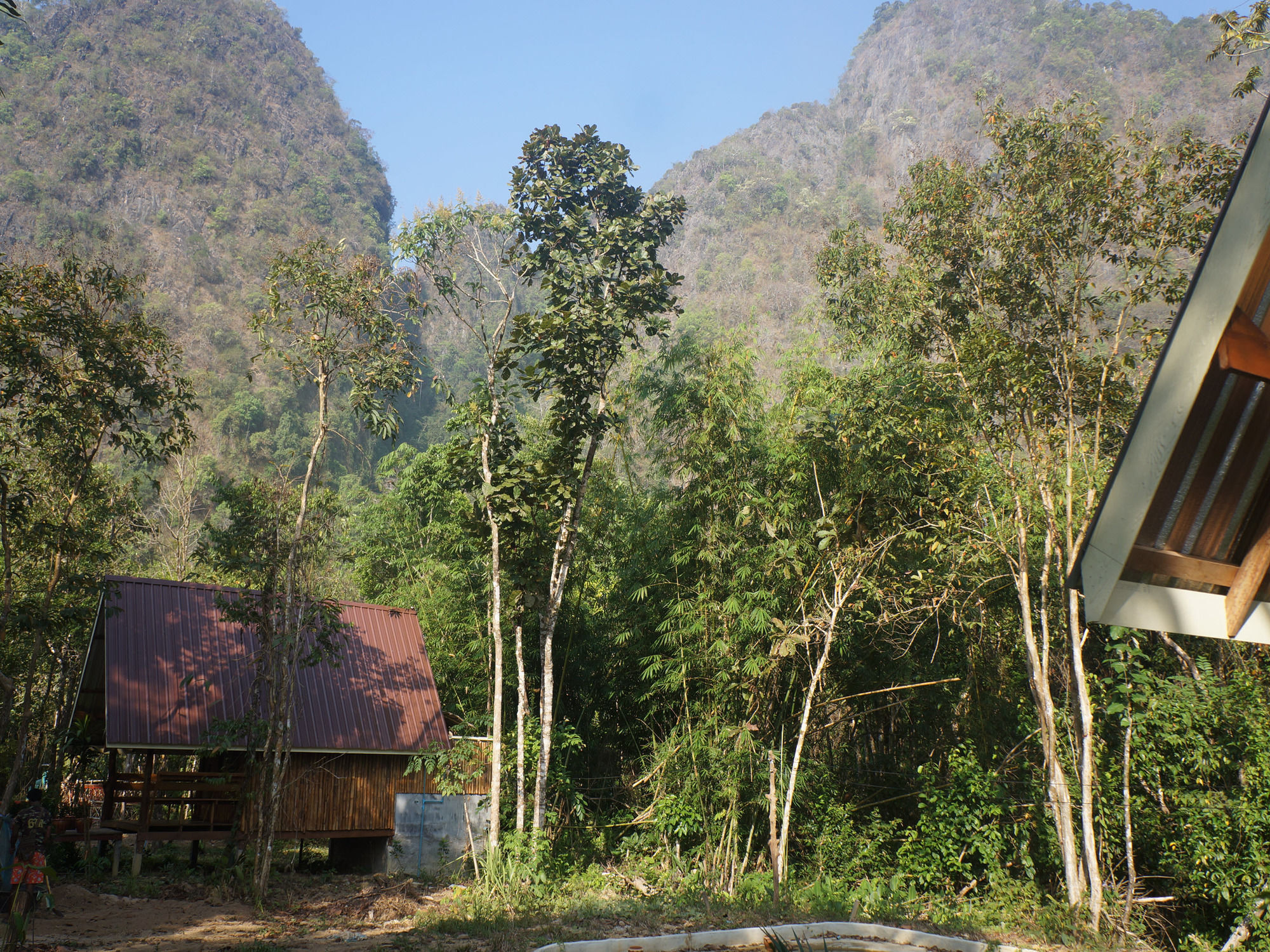 Khao Sok Jungle Resort Khao Sok National Park Eksteriør bilde